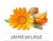 Naturapotheke im Jahreskreis